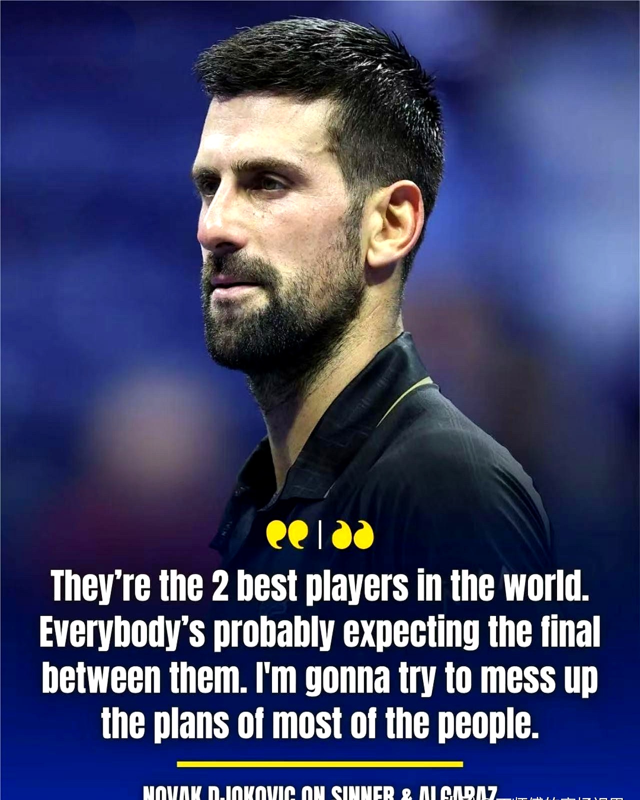 美网完胜澳网，德约科维奇惊艳四座