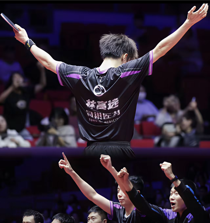 关于中国队险胜德国队，林高远关键制胜的信息