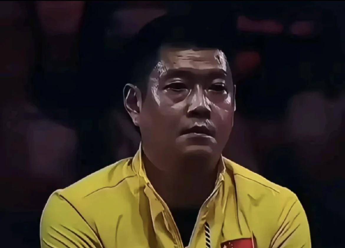 法国羽毛球队逆转印度羽毛球队，马琳绝境逆转的简单介绍