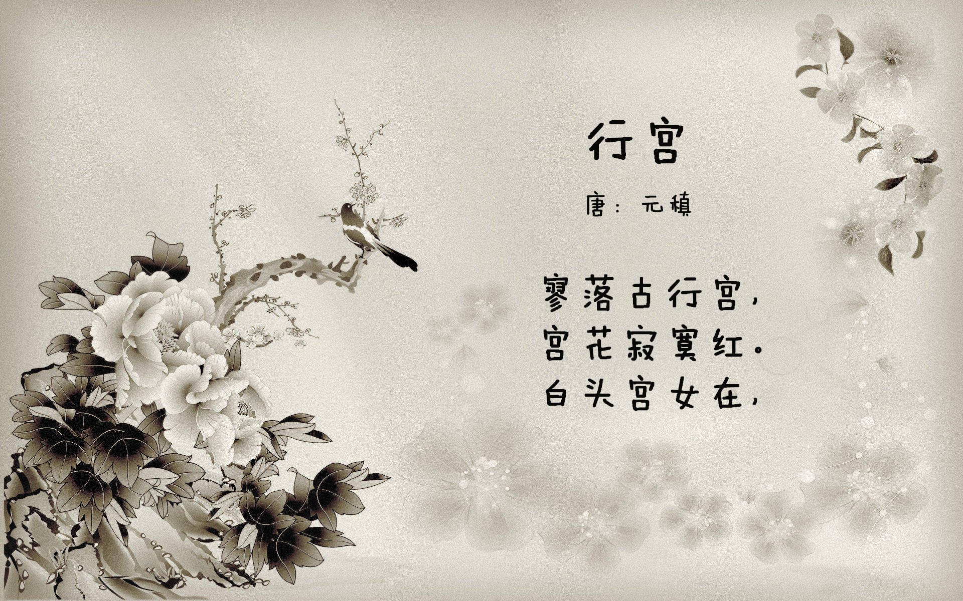 突破封锁的证明,弗拉霍维奇如何在勒沃库森阴影下闪耀