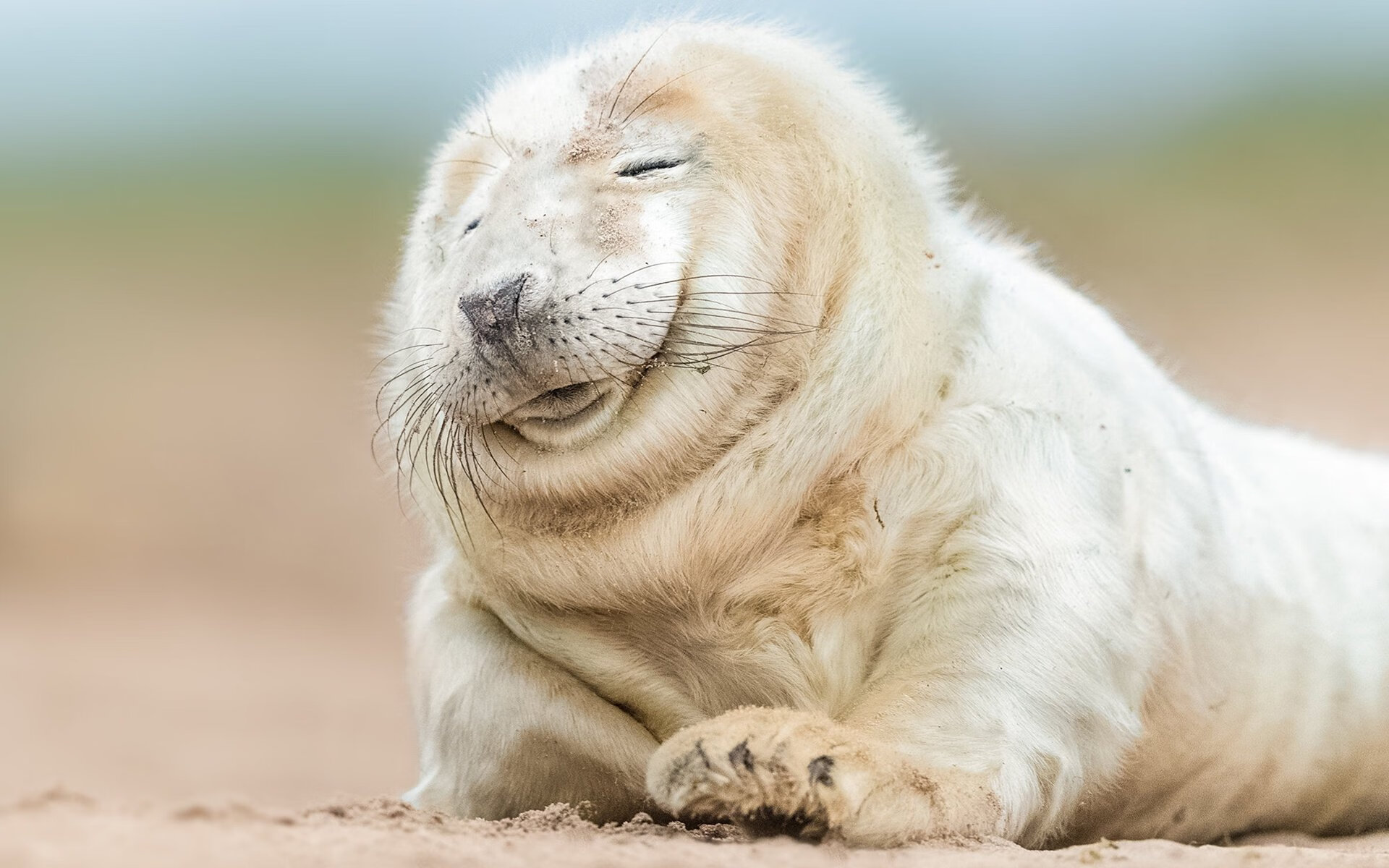 当瑞士军刀在最后一刻出鞘,弗拉霍维奇生涯之夜与足球的宿命感