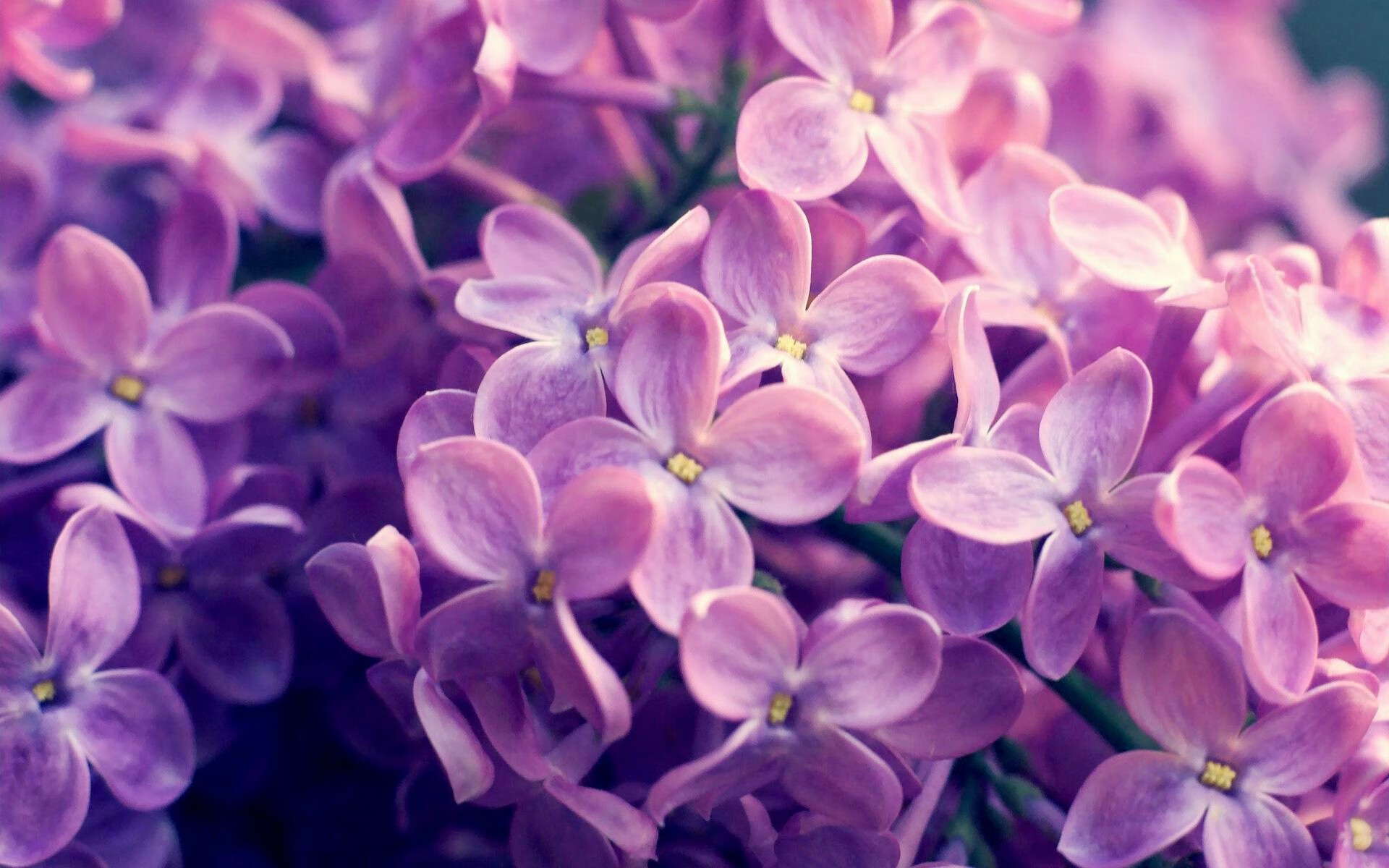 希腊巅峰对决，奥运周期关键战，决胜巴黎之路